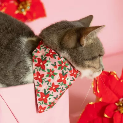 Product Made By Cleo® Winter Blooms Pink Cat Bandana