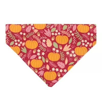 Product Made By Cleo® Pumpkin Patch Cranberry Cat Bandana