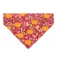 Product Made By Cleo® Pumpkin Patch Cranberry Cat Bandana