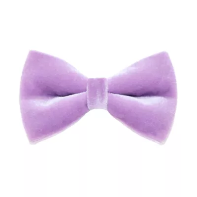 Product Made By Cleo® Velvet Lavender Cat Bow Tie