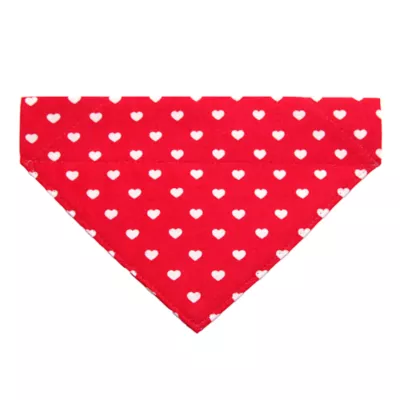 Product Made By Cleo® Love Song Cat Bandana