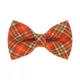 Product Made By Cleo® Pecan Praline Cat Bow Tie