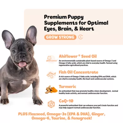 Product  Snuggle Puppy® Puppy Bites Grow Strong Supplement for Healthy Support of Eyes, Brain & Heart