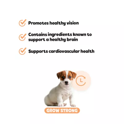 Product  Snuggle Puppy® Puppy Bites Grow Strong Supplement for Healthy Support of Eyes, Brain & Heart