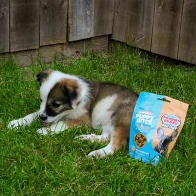 Product  Snuggle Puppy® Puppy Bites Grow Strong Supplement for Healthy Support of Eyes, Brain & Heart