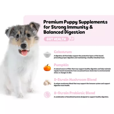 Product Snuggle Puppy® Puppy Bites Gut Health Supplement for Strong Immunity & Digestive Support for Puppies