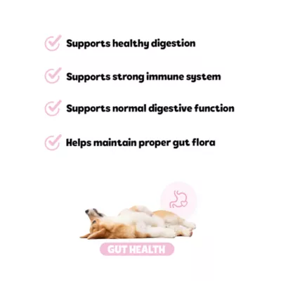 Product Snuggle Puppy® Puppy Bites Gut Health Supplement for Strong Immunity & Digestive Support for Puppies