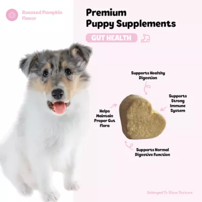 Product Snuggle Puppy® Puppy Bites Gut Health Supplement for Strong Immunity & Digestive Support for Puppies