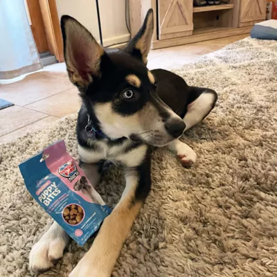 Product Snuggle Puppy® Puppy Bites Gut Health Supplement for Strong Immunity & Digestive Support for Puppies