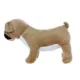 Product MIGHTY Farm Pug Dog Toy