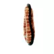 Product TUFFY® Mega JR Ring Brick Doy Toy