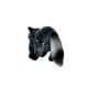 Product MIGHTY JR Nature Raccoon Dog Toy