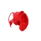 Product MIGHTY JR Ocean Prawn Dog Toy