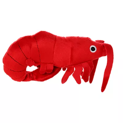 Product MIGHTY JR Ocean Prawn Dog Toy