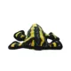 Product TUFFY® Desert Themed Dog Toy- Frog