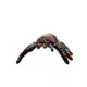 Product TUFFY® Desert Themed Dog Toy- Tarantula