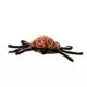 Product TUFFY® Desert Spider Dog Toy
