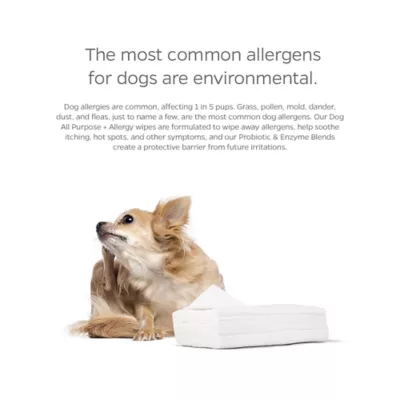 Pet Parents® Pet WiPees™ Dog Allergy Wipes, Natural Scent