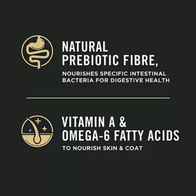 Product Purina Pro Plan Complete Essentials Dry Cat Food - Shredded Blend Salmon & Rice