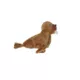 Product MIGHTY JR Arctic Walrus Dog Toy