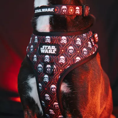 Product Sassy Woof STAR WARS™ The Rebel Alliance Adjustable Dog Collar