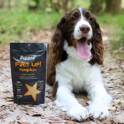 Product Diggin' Your Dog Firm Up! Pumpkin Super Supplement Stool Consistency for Dogs & Cats