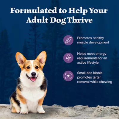 Product Blue Buffalo Wilderness Nature's Evolutionary Diet Small Bite Adult Dry Dog Food - Chicken