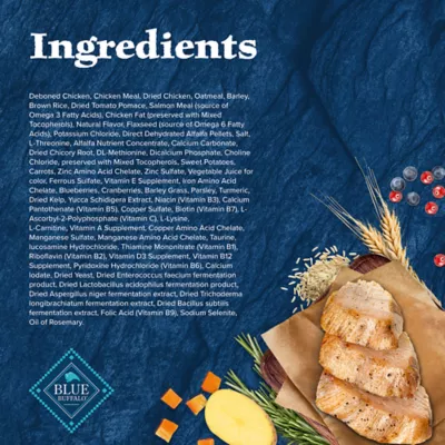 Product Blue Buffalo Wilderness Nature's Evolutionary Diet Small Bite Adult Dry Dog Food - Chicken