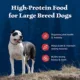 Product Blue Buffalo Wilderness Rocky Mountain Recipe Large Breed Adult Dog Dry Food - Red Meat, 22 lb