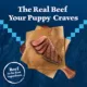 Product Blue Buffalo Wilderness Rocky Mountain Recipe Puppy Dry Dog Food - Red Meat, 22 lb