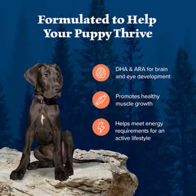 Product Blue Buffalo Wilderness Nature's Evolutionary Diet Large Breed Puppy Dry Dog Food - Chicken, 24 lb
