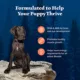 Product Blue Buffalo Wilderness Nature's Evolutionary Diet Large Breed Puppy Dry Dog Food - Chicken, 24 lb