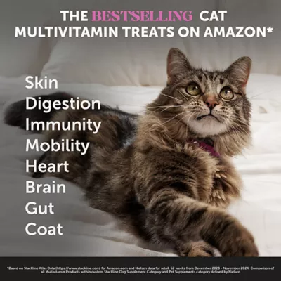 Product PetHonesty Dual Texture Multivitamin Chews Supplement for Cats 3.7 oz