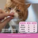 Product PetHonesty Dual Texture Multivitamin Chews Supplement for Cats 3.7 oz