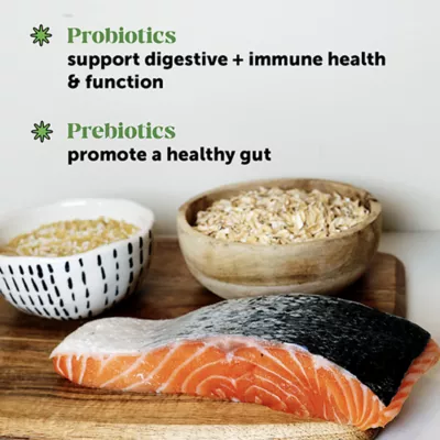 Product Pet Honesty Probiotics Gut + Immune Health Chews Supplement for Cats 3.7 oz