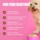 Product NOM NOM All Life Stages Frozen Dog Food - Beef