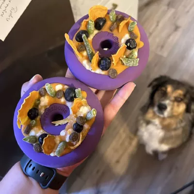 Product Freezbone Freezdoughnut Fillable Purple Dog Toy