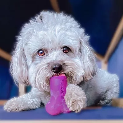 Product Freezbone Purple Refillable Dog Toy