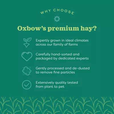 Product Oxbow Western Timothy Hay