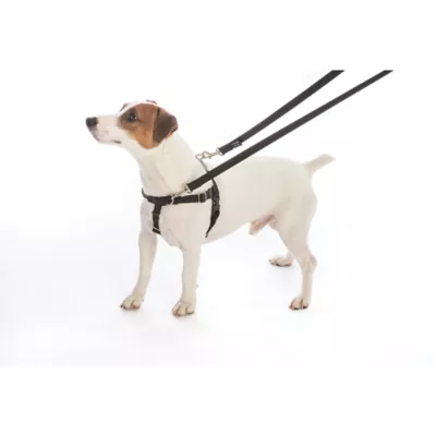 Product 2 Hounds Freedom No-Pull Dog Harness