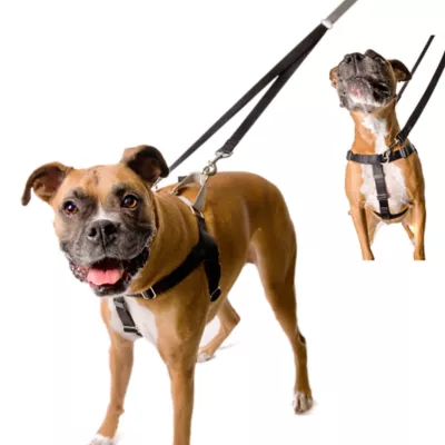Product 2 Hounds Freedom No-Pull Dog Harness