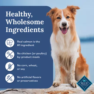 Product Blue Buffalo Tender Shreds Salmon & Chicken in Savory Broth All Life Stages Dog Food Topper - 2.5 oz