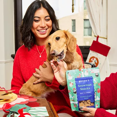 Product Bocce's Snowman Snack Soft and Chewy Dog Treats 6 OZ