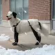 Product Canada Pooch Suspender Dog Boots - Long