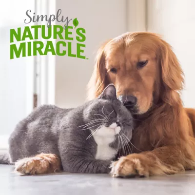 Product Nature's Miracle Pet Stain and Odor Removers - 1 Gallon
