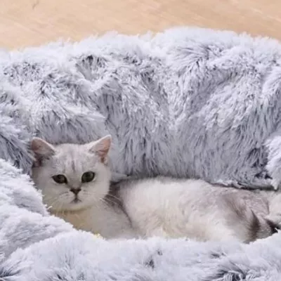 Product PetPals Grey Cat Tunnel with Faux Fur