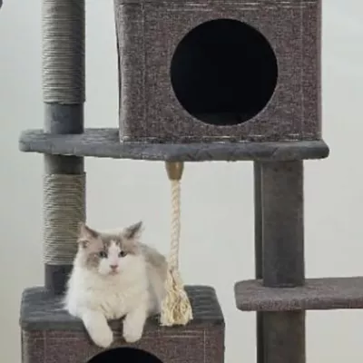 Product Catry Large Size Dark Grey Cat Tree