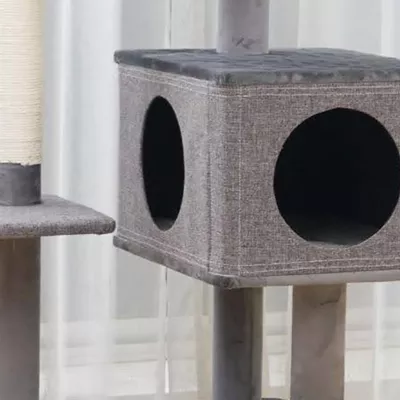 Product Catry Large Size Condo with Bed Included