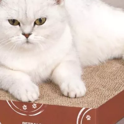 Product  PetPals Cardboard Cat Scratcher 4 CT
