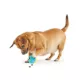 Product Brightkins Cupcake Treat Dispenser